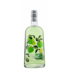 Apple &Lime Gin  70cl